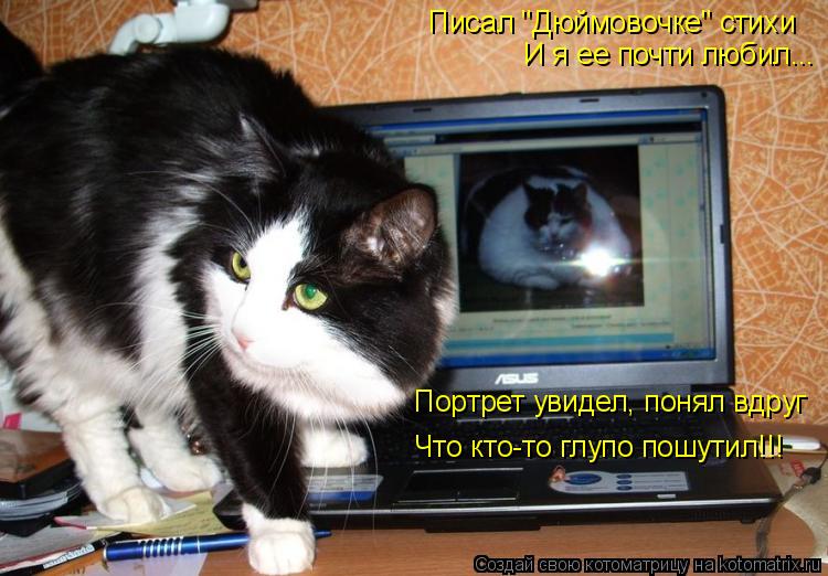 Котоматрица: Писал "Дюймовочке" стихи И я ее почти любил... Портрет увидел, понял вдруг Что кто-то глупо пошутил!!!