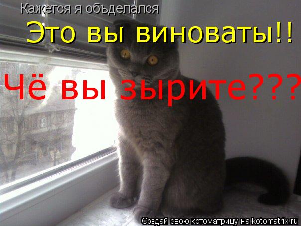 Кажется я объделался Это вы виноваты Это вы виноваты!! Чё вы зырите???... Котоматрица: Кажется я объделался Это вы виноваты Это вы виноваты!! Чё вы зырите???