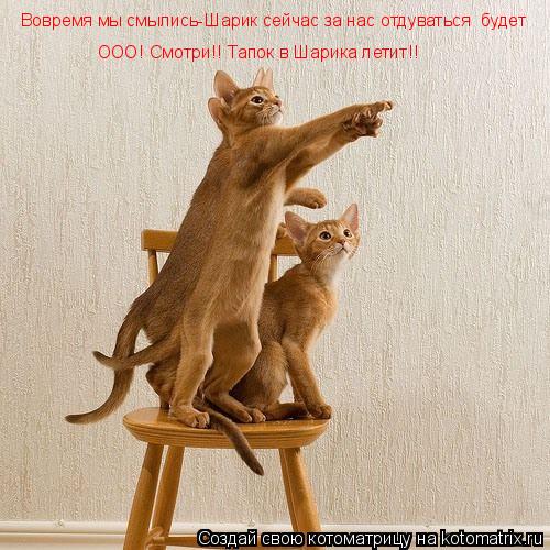 Вовремя мы смылись-Шарик сейчас за нас отдуваться будет ООО! Смотри!! Тапок в Шарика летит!!... Котоматрица: Вовремя мы смылись-Шарик сейчас за нас отдуваться будет ООО! Смотри!! Тапок в Шарика летит!!