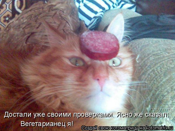 Достали уже своими проверками. Ясно же сказал: Вегетарианец я!... Котоматрица: Достали уже своими проверками. Ясно же сказал: Вегетарианец я!
