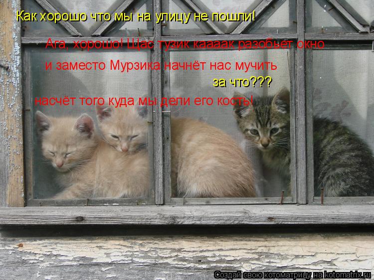 Как хорошо что мы на улицу не пошли! Ага, хорошо! Щас тузик каааак разобьет окно и заместо Мурзика на... Котоматрица: Как хорошо что мы на улицу не пошли! Ага, хорошо! Щас тузик каааак разобьет окно и заместо Мурзика начнёт нас мучить за что??? насчёт того куд