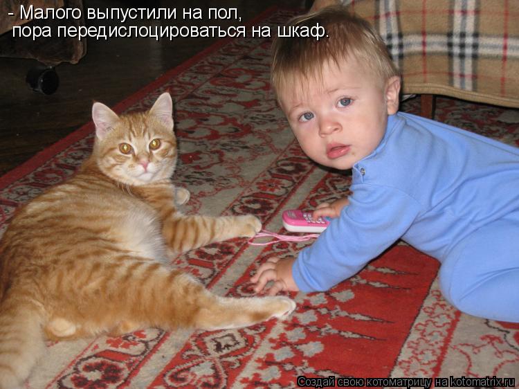 - Малого выпустили на пол, пора передислоцироваться на шкаф.... Котоматрица: - Малого выпустили на пол, пора передислоцироваться на шкаф.