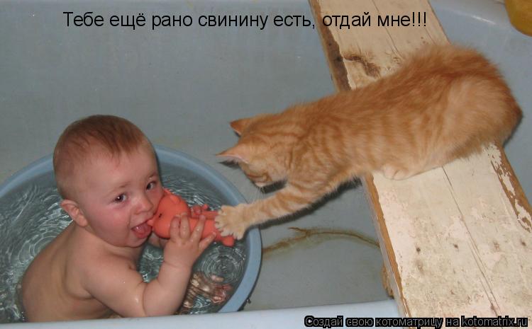 Тебе ещё рано свинину есть, отдай мне!!!... Котоматрица: Тебе ещё рано свинину есть, отдай мне!!!