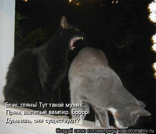 Блэк, глянь! Тут такой мужик... Прям, вылитый вампир. Брррр! Думаешь, они существуют?... Котоматрица: Блэк, глянь! Тут такой мужик... Прям, вылитый вампир. Брррр! Думаешь, они существуют?