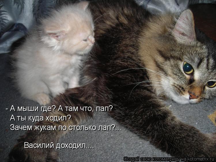 - А мыши где? А там что, пап? А ты куда ходил? Зачем жукам по столько лап?... Василий доходил....... Котоматрица: - А мыши где? А там что, пап? А ты куда ходил? Зачем жукам по столько лап?... Василий доходил....