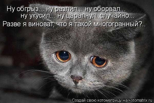 Ну обгрыз... ну разлил... ну оборвал... ну укусил... ну царапнул..случайно... Разве я виноват, что я ... Котоматрица: Ну обгрыз... ну разлил... ну оборвал... ну укусил... ну царапнул..случайно... Разве я виноват, что я такой многогранный?..
