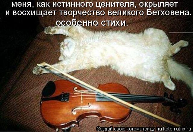 меня, как истинного ценителя, окрыляет и восхищает творчество великого Бетховена. особенно стихи.... Котоматрица: меня, как истинного ценителя, окрыляет и восхищает творчество великого Бетховена. особенно стихи.
