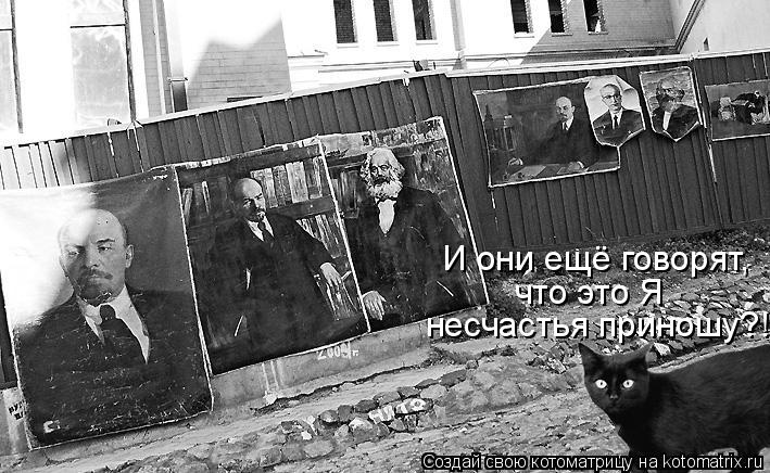 несчастья приношу?! И они ещё говорят, что это Я... Котоматрица: несчастья приношу?! И они ещё говорят, что это Я
