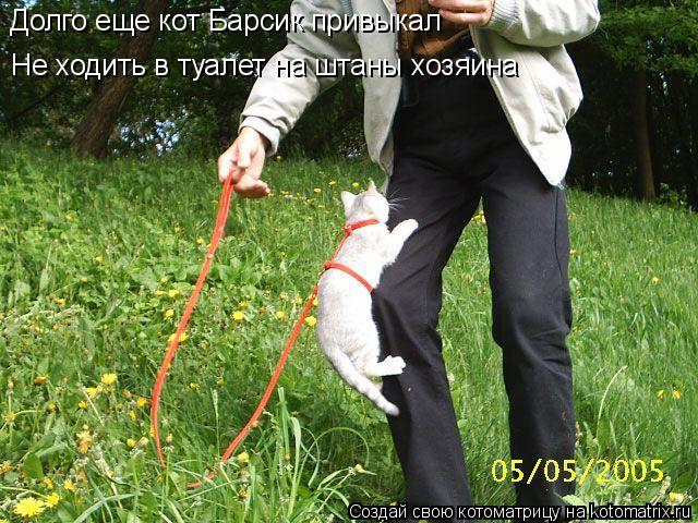 Котоматрица: Не ходить в туалет на штаны хозяина Долго еще кот Барсик привыкал