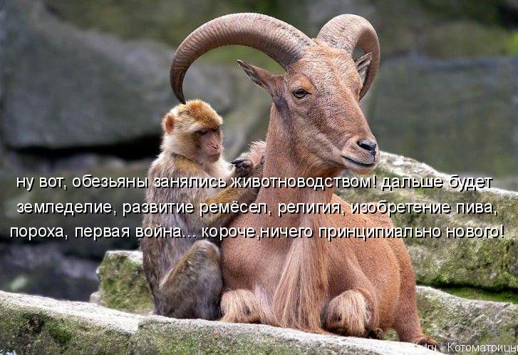ну вот, обезьяны занялись животноводством! дальше будет пороха, первая война... короче,ничего принци... Котоматрица: ну вот, обезьяны занялись животноводством! дальше будет пороха, первая война... короче,ничего принципиально нового! земледелие, развитие ре