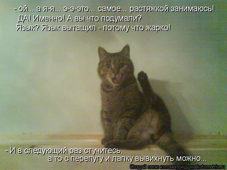 Котоматрица: - ой... а я-я... э-э-это... самое... растяжкой занимаюсь!  ДА! Именно! А вы что подумали? Язык? Язык вытащил - потому что жарко! - И в следующий раз с