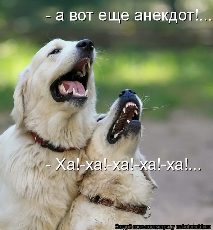 Котоматрица: - а вот еще анекдот!...  - Ха!-ха!-ха!-ха!-ха!...