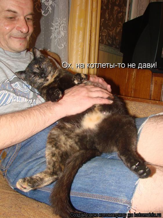 Ох, на котлеты-то не дави!... Котоматрица: Ох, на котлеты-то не дави!