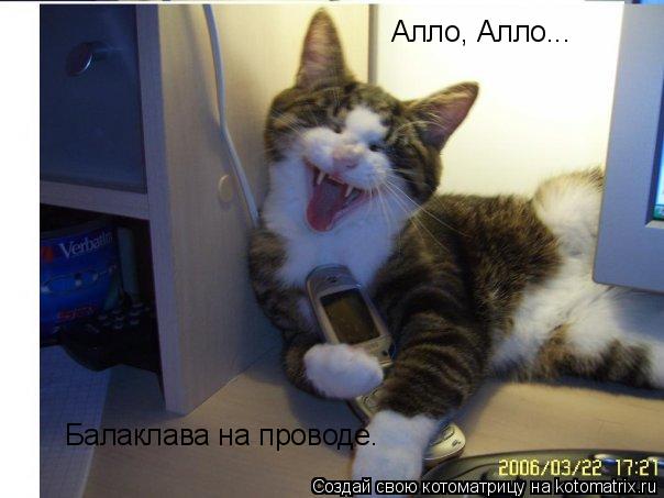 Алло, Алло... Балаклава на проводе.... Котоматрица: Алло, Алло... Балаклава на проводе.