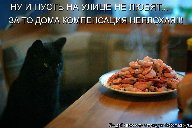 НУ И ПУСТЬ НА УЛИЦЕ НЕ ЛЮБЯТ... ЗА ТО ДОМА КОМПЕНСАЦИЯ НЕПЛОХАЯ!!!... Котоматрица: НУ И ПУСТЬ НА УЛИЦЕ НЕ ЛЮБЯТ... ЗА ТО ДОМА КОМПЕНСАЦИЯ НЕПЛОХАЯ!!!