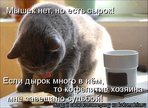 Мышек нет, но есть сырок! Если дырок много в нём, то кофепитие хозяина мне завещано судьбой!... Котоматрица: Мышек нет, но есть сырок! Если дырок много в нём, то кофепитие хозяина мне завещано судьбой!