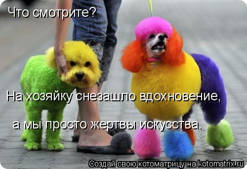 Что смотрите? На хозяйку снезашло вдохновение, а мы просто жертвы искусства.... Котоматрица: Что смотрите? На хозяйку снезашло вдохновение, а мы просто жертвы искусства.