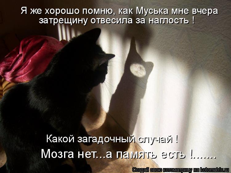 Я же хорошо помню, как Муська мне вчера затрещину отвесила за наглость ! Мозга нет...а память есть !.... Котоматрица: Я же хорошо помню, как Муська мне вчера затрещину отвесила за наглость ! Мозга нет...а память есть !....... Какой загадочный случай !