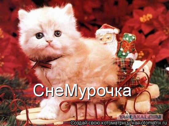 СнеМурочка... Котоматрица: СнеМурочка
