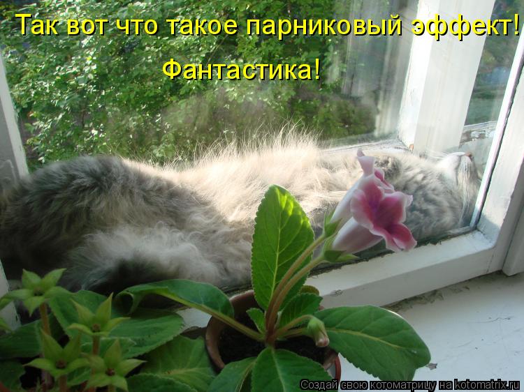 Фантастика! Так вот что такое парниковый эффект!... Котоматрица: Фантастика! Так вот что такое парниковый эффект!