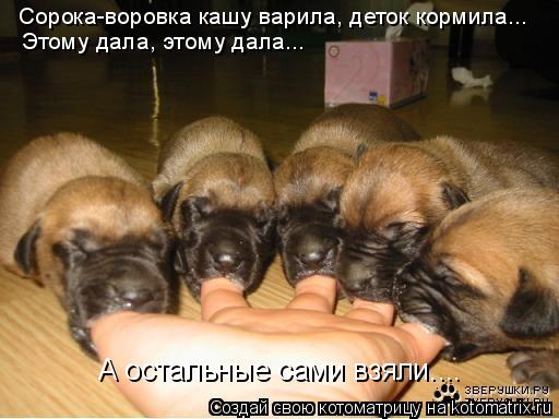 Сорока-воровка кашу варила, деток кормила... Этому дала, этому дала... А остальные сами взяли....... Котоматрица: Сорока-воровка кашу варила, деток кормила... Этому дала, этому дала... А остальные сами взяли....