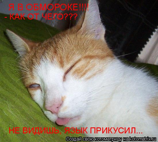 Я В ОБМОРОКЕ!!!! - КАК ОТ ЧЕГО??? НЕ ВИДИШЬ, ЯЗЫК ПРИКУСИЛ...... Котоматрица: Я В ОБМОРОКЕ!!!! - КАК ОТ ЧЕГО??? НЕ ВИДИШЬ, ЯЗЫК ПРИКУСИЛ...