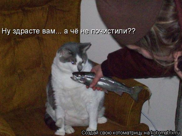 Ну здрасте вам... а чё не почистили??... Котоматрица: Ну здрасте вам... а чё не почистили??