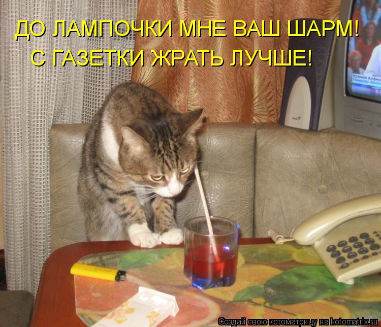 ДО ЛАМПОЧКИ МНЕ ВАШ ШАРМ! С ГАЗЕТКИ ЖРАТЬ ЛУЧШЕ!... Котоматрица: ДО ЛАМПОЧКИ МНЕ ВАШ ШАРМ! С ГАЗЕТКИ ЖРАТЬ ЛУЧШЕ!