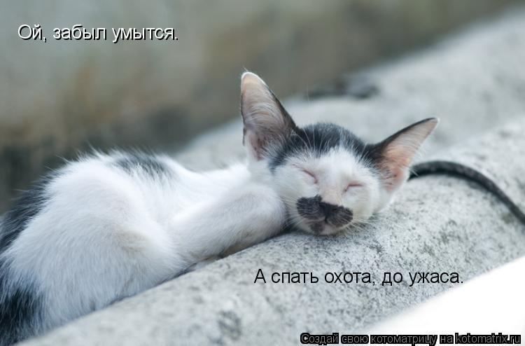Ой, забыл умытся. А спать охота, до ужаса.... Котоматрица: Ой, забыл умытся. А спать охота, до ужаса.