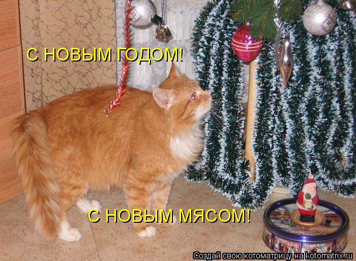 С НОВЫМ ГОДОМ! С НОВЫМ МЯСОМ!... Котоматрица: С НОВЫМ ГОДОМ! С НОВЫМ МЯСОМ!