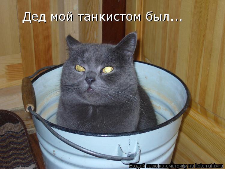 Дед мой танкистом был...... Котоматрица: Дед мой танкистом был...