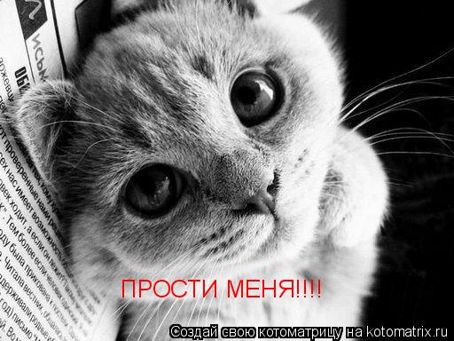 ПРОСТИ МЕНЯ!!!!... Котоматрица: ПРОСТИ МЕНЯ!!!!