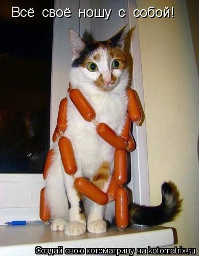 Всё своё ношу с собой!... Котоматрица: Всё своё ношу с собой!