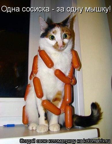 Одна сосиска - за одну мышку!... Котоматрица: Одна сосиска - за одну мышку!
