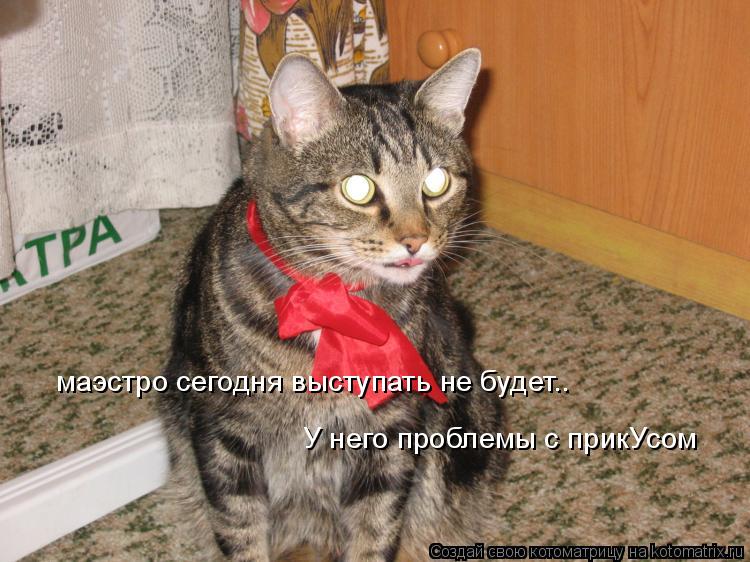Котоматрица: маэстро сегодня выступать не будет.. У него проблемы с прикУсом