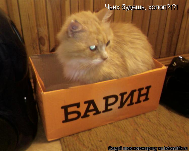 Котоматрица: Чьих будешь, холоп?!?!
