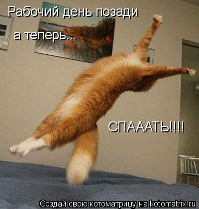 Рабочий день позади а теперь... СПАААТЬ!!!!... Котоматрица: Рабочий день позади а теперь... СПАААТЬ!!!!