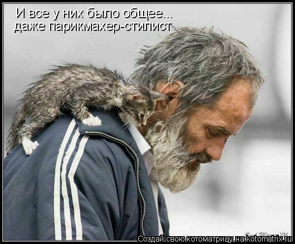 И все у них было общее... даже парикмахер-стилист... Котоматрица: И все у них было общее... даже парикмахер-стилист