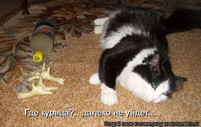 Где курица?...далеко не уйдет........ Котоматрица: Где курица?...далеко не уйдет.....