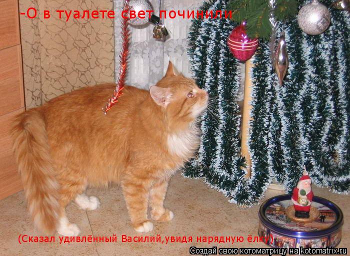 -О в туалете свет починили (Сказал удивлённый Василий,увидя нарядную ёлку)... Котоматрица: -О в туалете свет починили (Сказал удивлённый Василий,увидя нарядную ёлку)