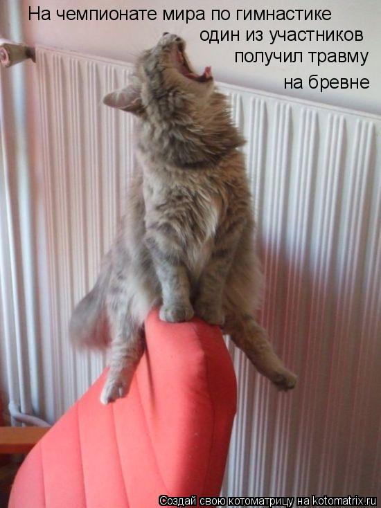 На чемпионате мира по гимнастике один из участников получил травму на бревне... Котоматрица: На чемпионате мира по гимнастике один из участников получил травму на бревне