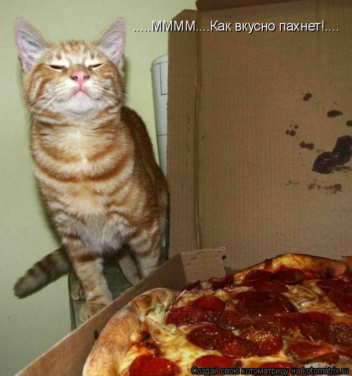 .....ММММ....Как вкусно пахнет!....... Котоматрица: .....ММММ....Как вкусно пахнет!....