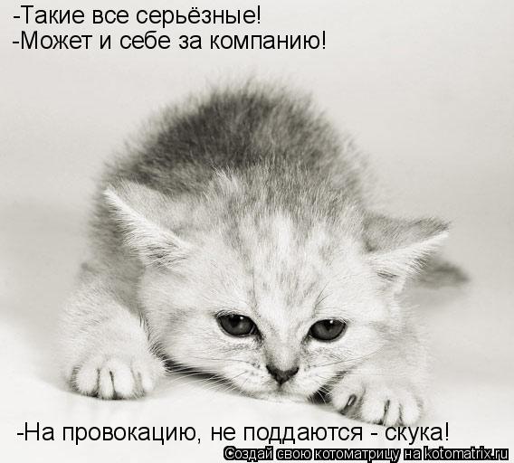 -Такие все серьёзные! -Может и себе за компанию! -На провокацию, не поддаются - скука!... Котоматрица: -Такие все серьёзные! -Может и себе за компанию! -На провокацию, не поддаются - скука!