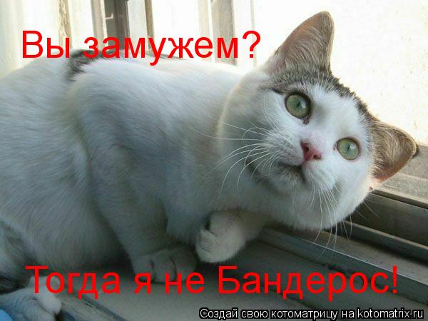 Вы замужем? Тогда я не Бандерос!... Котоматрица: Вы замужем? Тогда я не Бандерос!