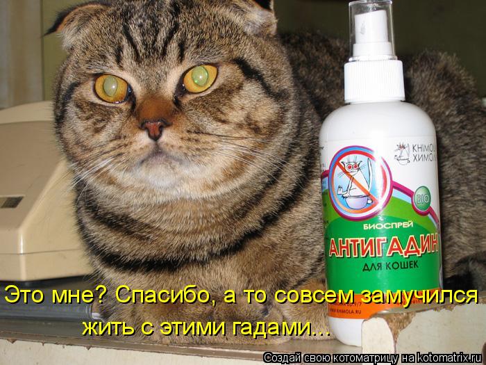 Это мне? Спасибо, а то совсем замучился жить с этими гадами...... Котоматрица: Это мне? Спасибо, а то совсем замучился жить с этими гадами...