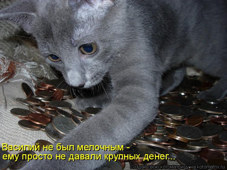 Котоматрица: ему просто не давали крупных денег... Василий не был мелочным -