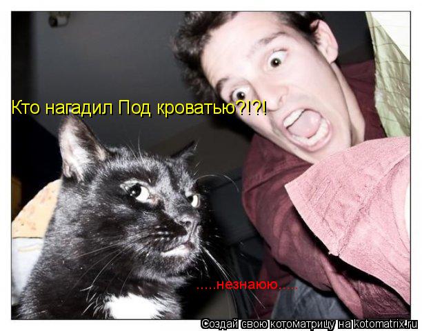 Кто нагадил Под кроватью?!?! .....незнаюю........ Котоматрица: Кто нагадил Под кроватью?!?! .....незнаюю.....
