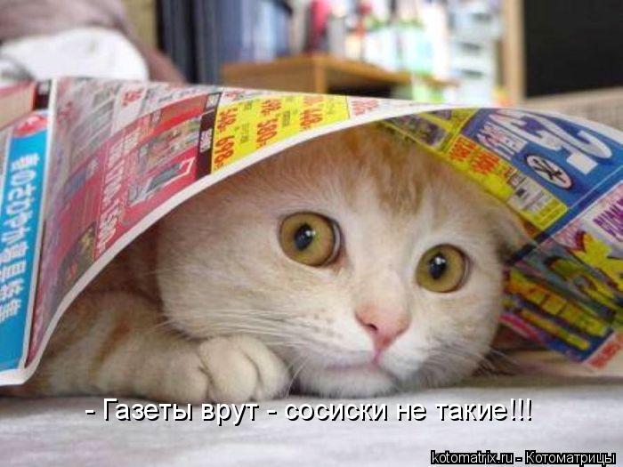 - Газеты врут - сосиски не такие!!!... Котоматрица: - Газеты врут - сосиски не такие!!!