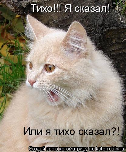 Тихо!!! Я сказал! Или я тихо сказал?!... Котоматрица: Тихо!!! Я сказал! Или я тихо сказал?!