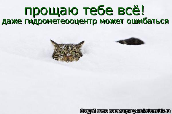 прощаю тебе всё! даже гидрометеооцентр может ошибаться... Котоматрица: прощаю тебе всё! даже гидрометеооцентр может ошибаться